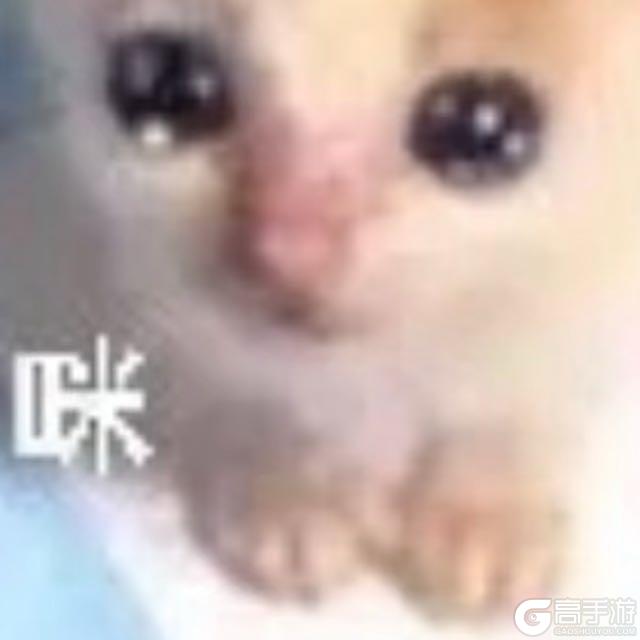 【爆料第二弹】新版本倒计时🚀新年福利，抢先揭秘💦