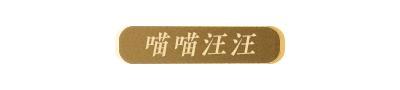《明日之后》经典家具返场投票开启！