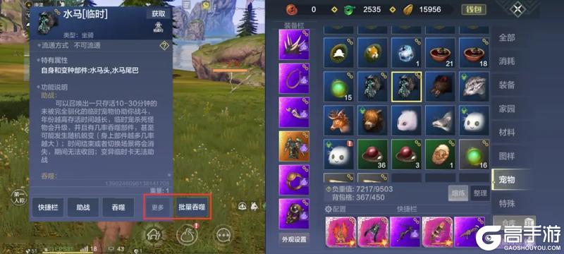 【萌新7日攻略】勇闯大荒第一天，这些事情要知道！