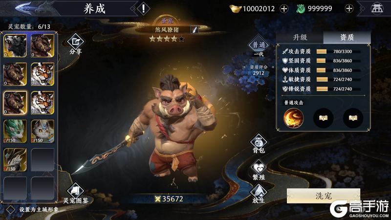 【全新灵宠】神秘新伙伴揭晓，三大新宠霸气登场！【原文有视频】