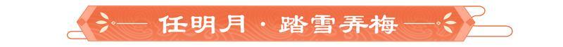 锦缎霓裳丨剧情妃-任明月，典藏衣妆「踏雪弄梅」