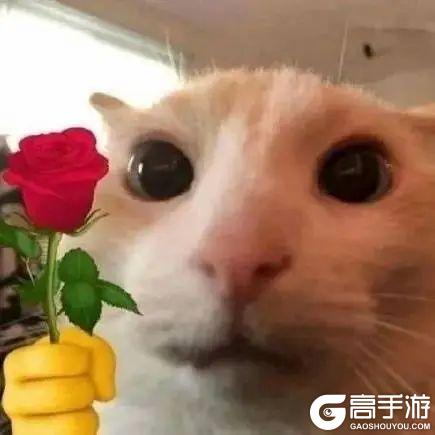 《花语卷》新手攻略：萌新英雄养成+配队全指南！