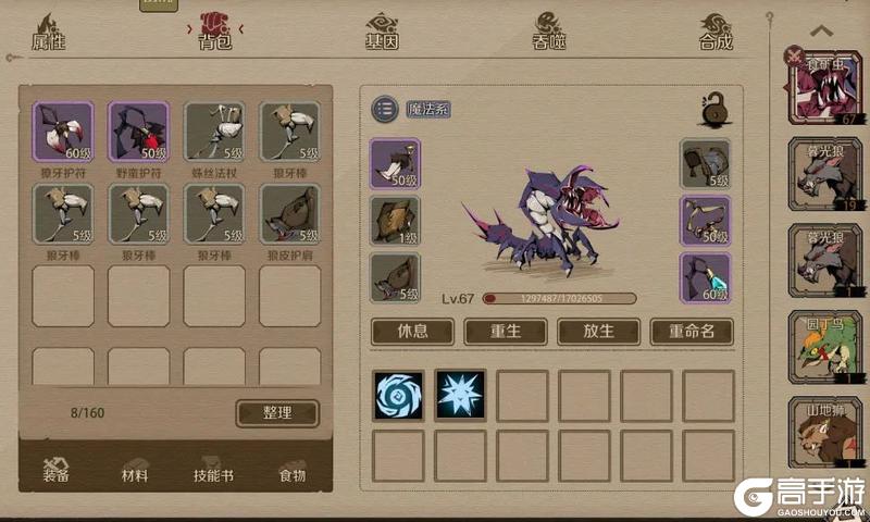 时间之钥宠物养成与生活技能全攻略