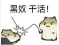 【花式问答】2月策划信箱已送达！请修行者们批复~