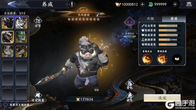 【全新灵宠】神秘新伙伴揭晓，三大新宠霸气登场！【原文有视频】