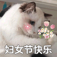 《我的勇者》致敬每一位妇女 节日快乐！（内含300钻石）