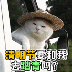 《我的勇者》四月与春同往 风寄长思清明雨上（内含300钻）
