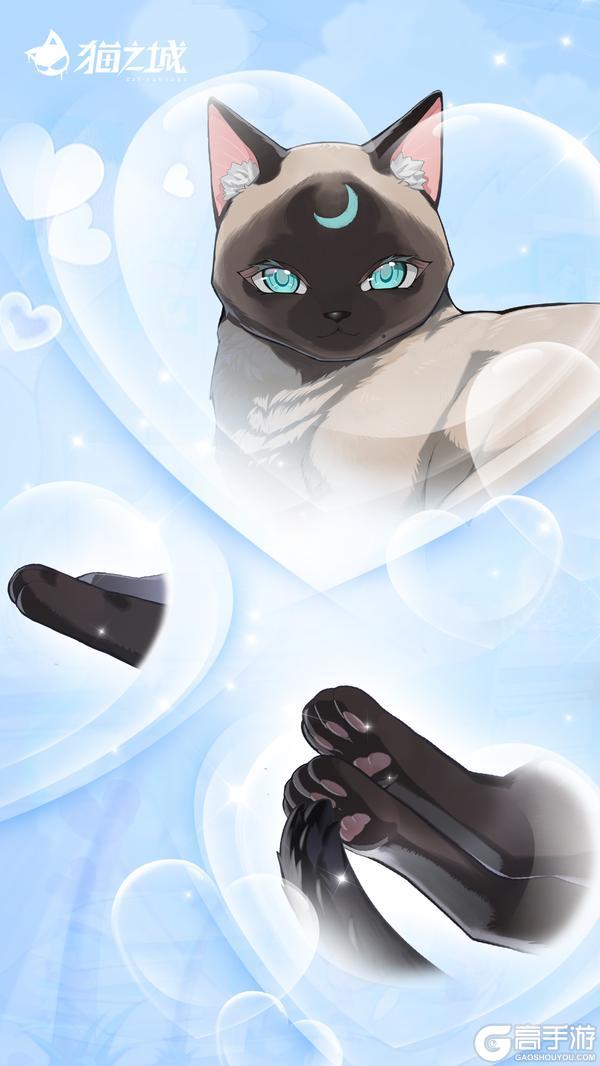 喵！猫娘高清壁纸已送达！