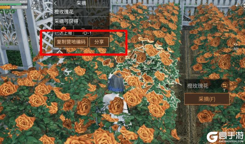 《明日之后》异色玫瑰保姆级攻略手把手教学兑换