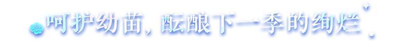 《明日之后》异色玫瑰保姆级攻略手把手教学兑换