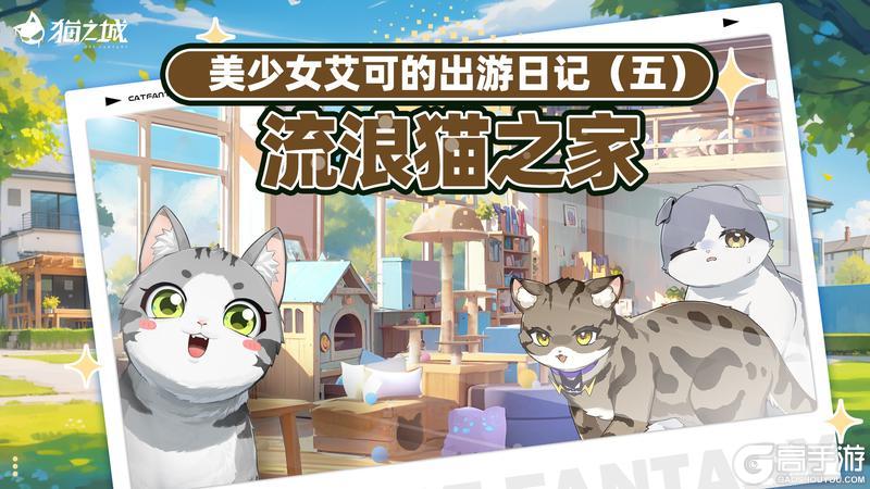 📖美少女艾可的出游日记⑤・流浪猫之家篇