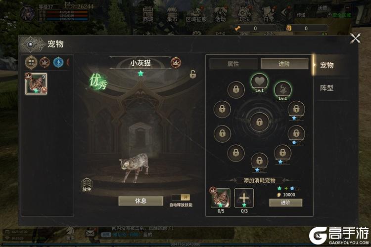 奇迹世界起源--游戏玩法--宠物养成