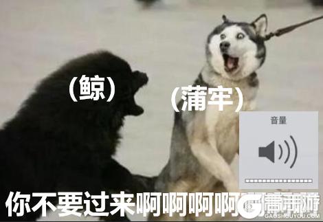 【山海经奇谈异事】蒲牢：是强者，但社恐