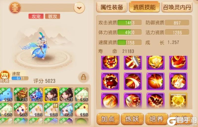 《梦幻西游》神威攻宠如何搭配？