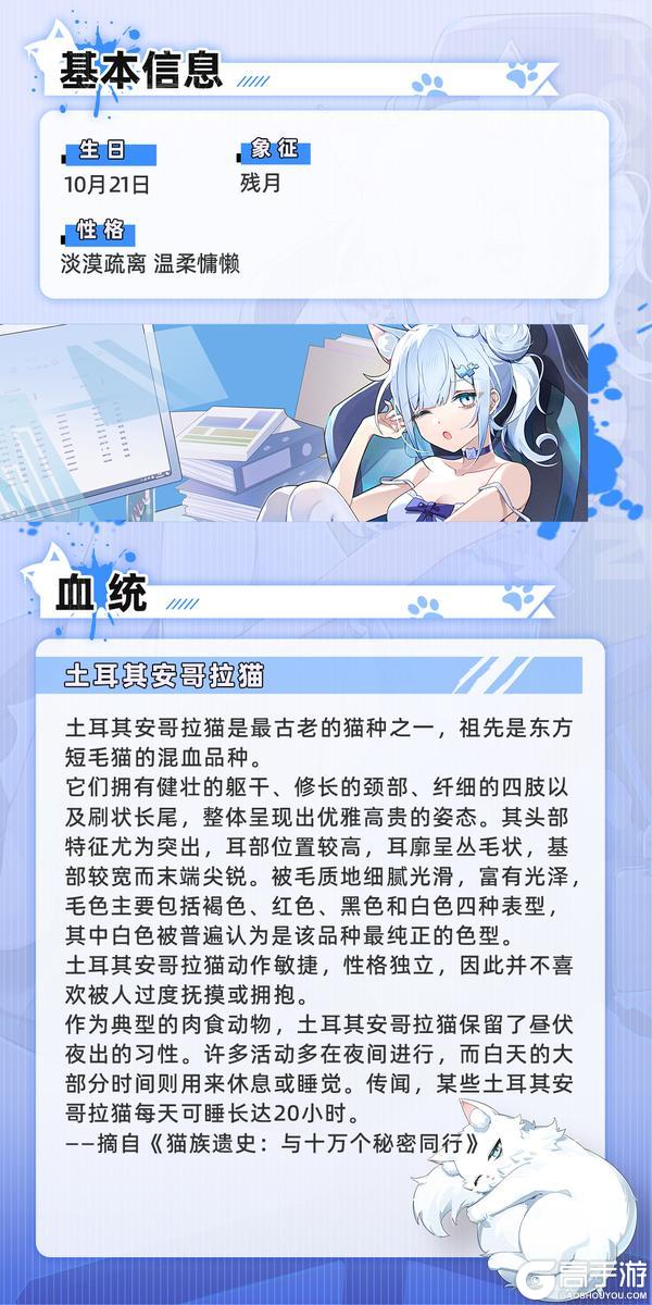 土耳其安哥拉猫:佐伊-沉沦永夜即将登场!