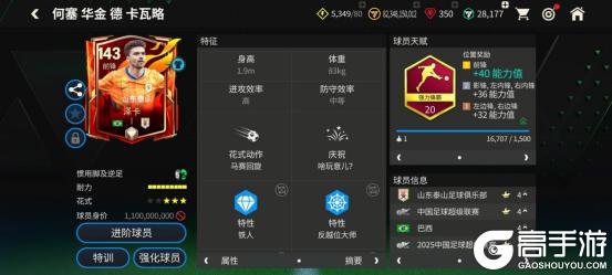 鲁能新空霸——泽卡
