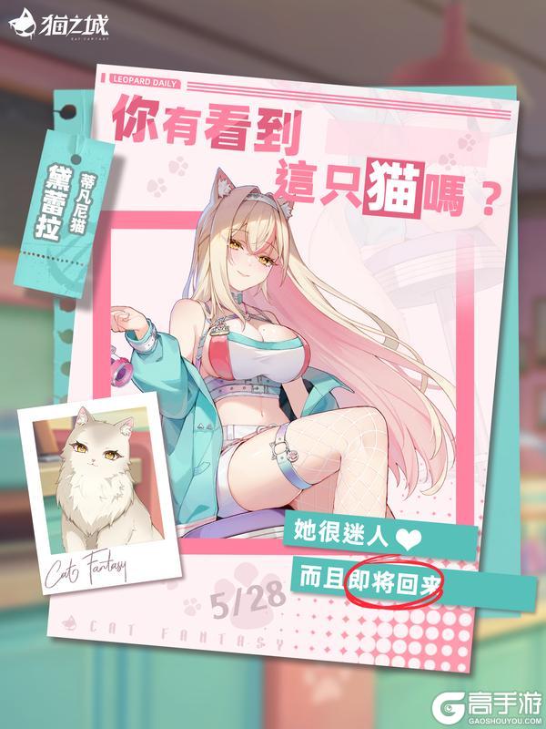 🐾寻猫启事:你有看到蒂凡尼猫吗?