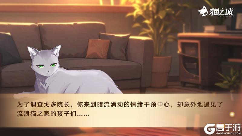 《猫之城》❤️‍🩹版本预告 | 活动故事