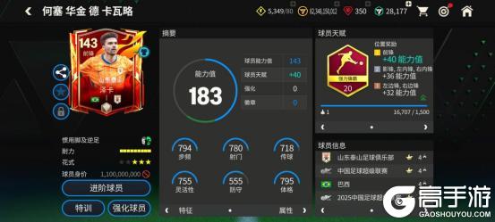 鲁能新空霸——泽卡