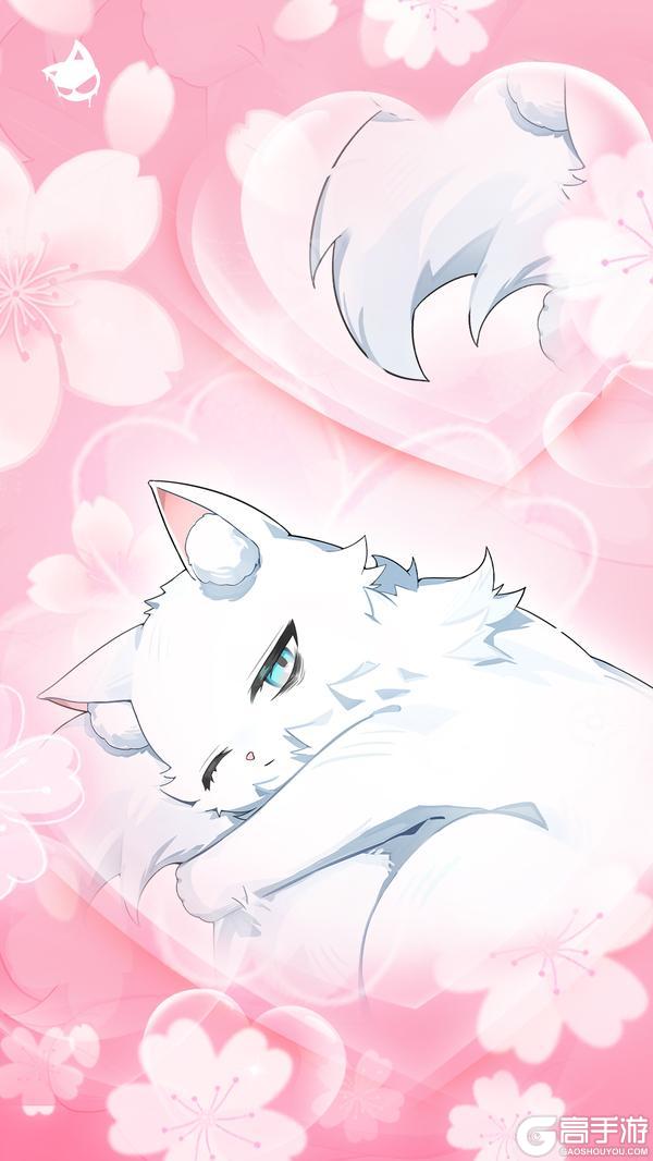 喵！猫娘高清壁纸已送达！