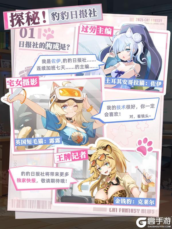 🐾大揭秘：【豹豹日报社】由什么构成？