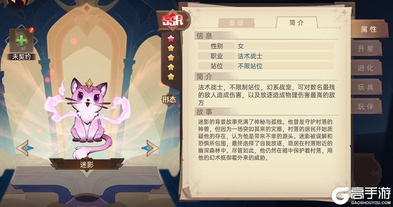 《决胜之心》战宠介绍：迷影