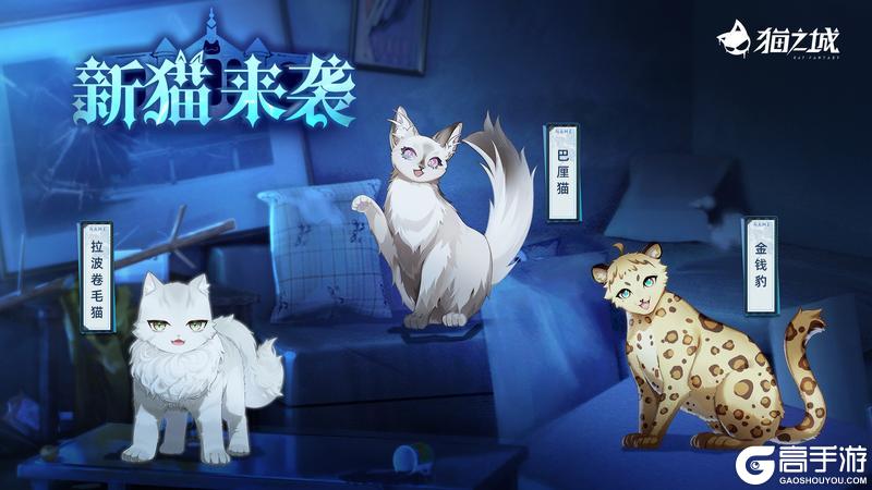 《猫之城》妄诞洋馆丨新猫来袭