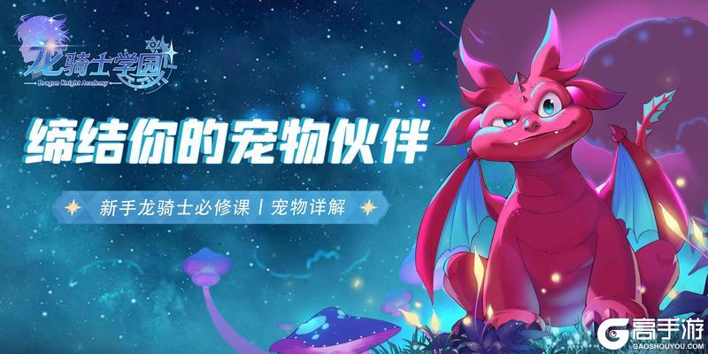 新手龙骑士必修课丨缔结你的宠物伙伴！