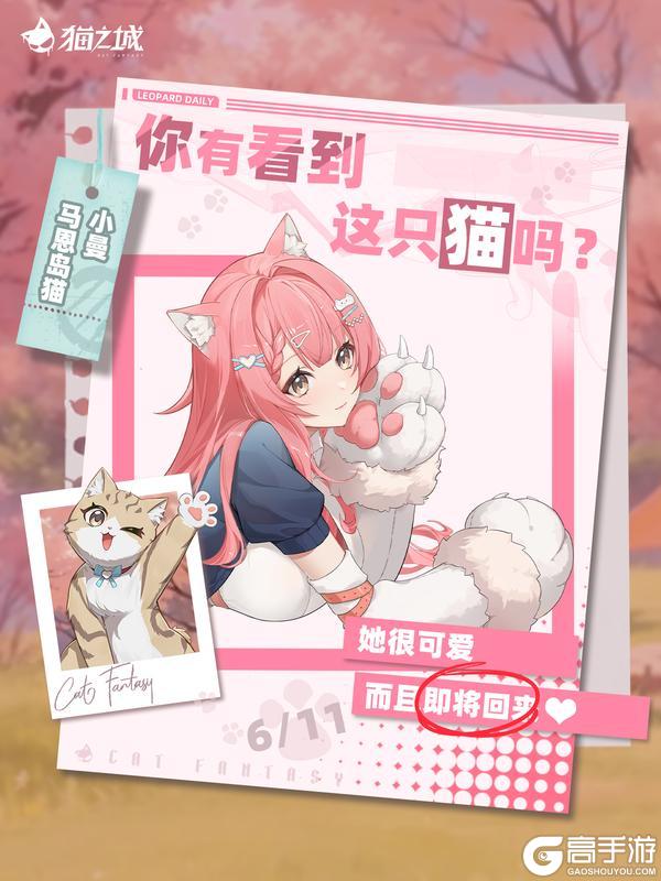 🐾寻猫启事:你有看到马恩岛猫吗?