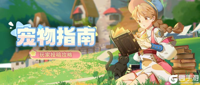 玩家投稿丨龙骑士学园宠物指南