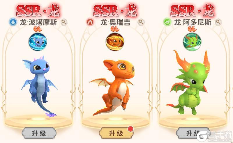 新手龙骑士必修课丨缔结你的宠物伙伴！