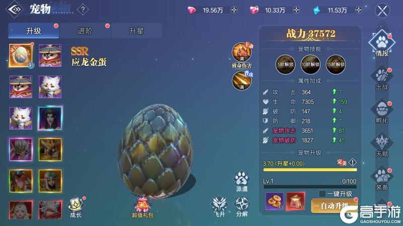 【神都情报站】《神迹觉醒》宠物系统：从蛋到战宠的孵化培养指南