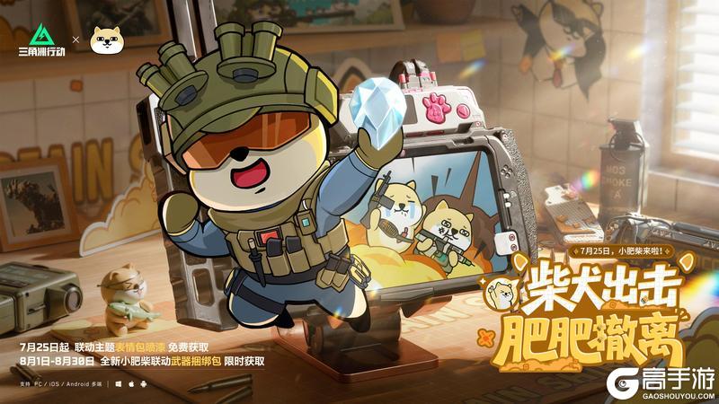 柴犬出击，肥肥撤离！小肥柴联动来啦～