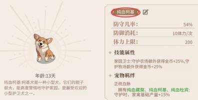 新庄园时代