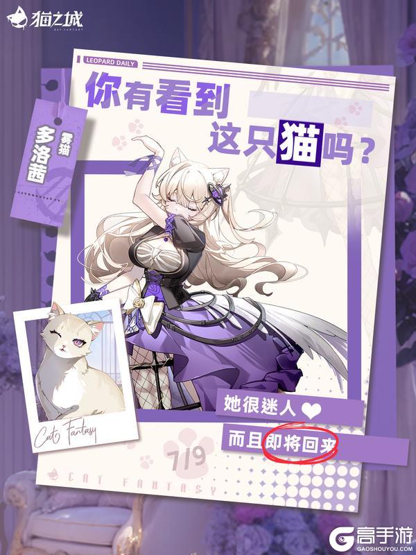 🐈️寻猫启事:你有看到雾猫吗?
