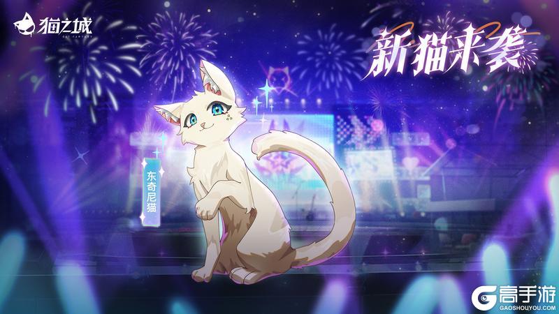 🎆版本预告 | 新猫来袭