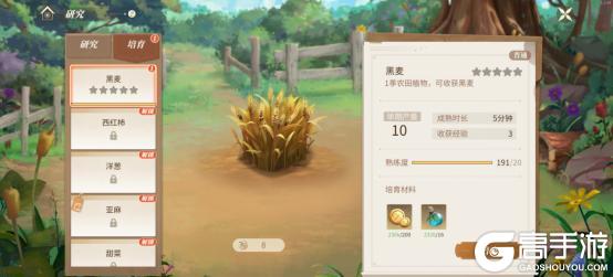 新庄园时代