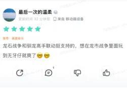 双向奔赴的驯龙梦！没牙仔等了这么久，就为和你再并肩一次！
