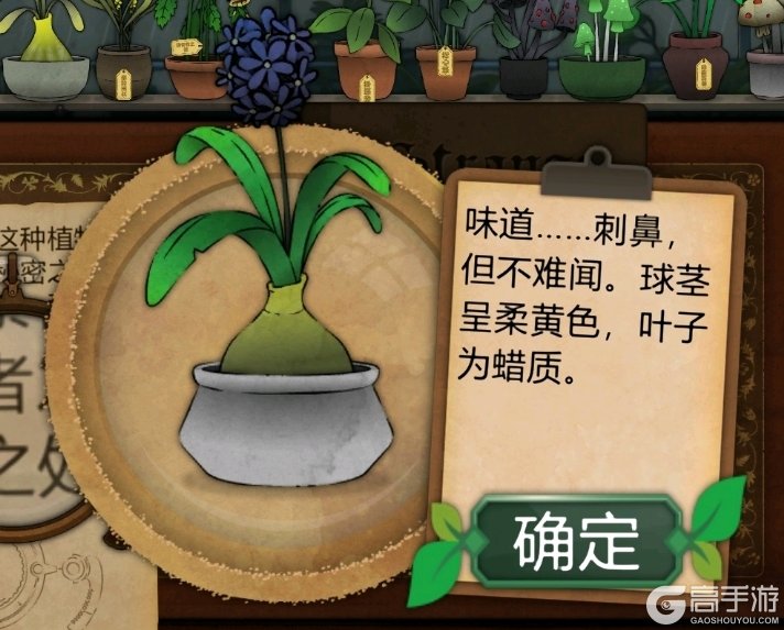 奇异园艺