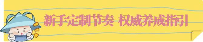 《一梦江湖》年度服火箭级融入秘籍？