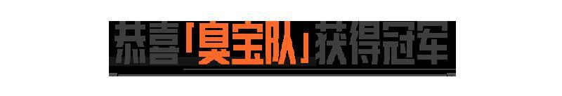 大金杯-全明星大乱斗总决赛冠军诞生！