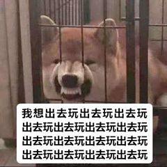 暑假勇者出行分享！（内含200钻石）
