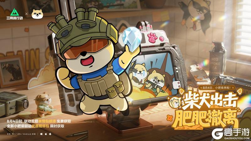 柴犬出击，肥肥撤离！小肥柴联动来啦