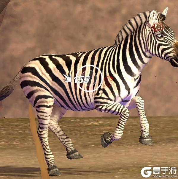 【猎物图鉴】（第七期）非洲-斑马