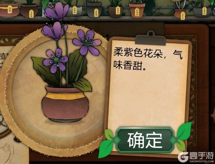 奇异园艺
