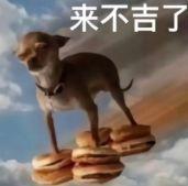 【爆料时刻】💦距离上线又双叒叕近了亿点点……