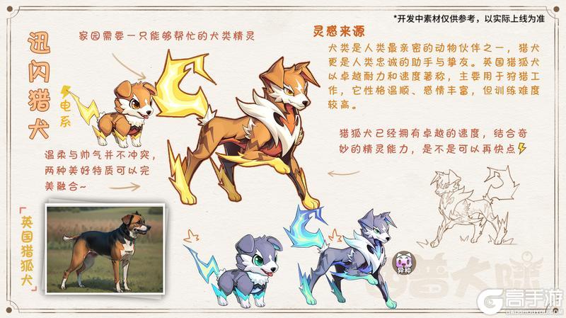 精灵百科|圣印帝龙&明光孔雀&迅闪猎犬