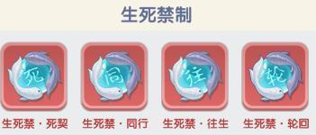 进阶道友必看！合理搭配禁制才能发挥最佳战斗水平