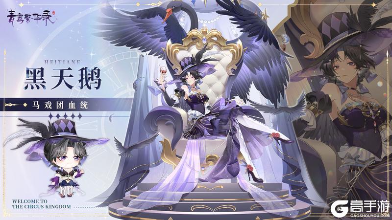 【图鉴分享丨马戏团】这么美，那么劲，这周看马戏