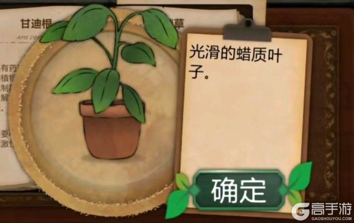 奇异园艺